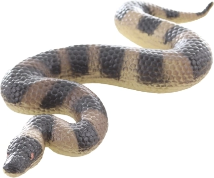 Kompaktne dimenzije za male istraživače