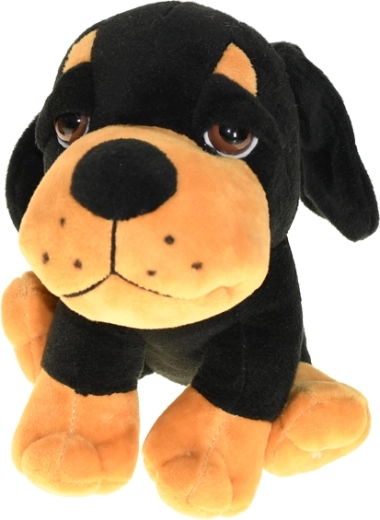 Više kolor varijanti