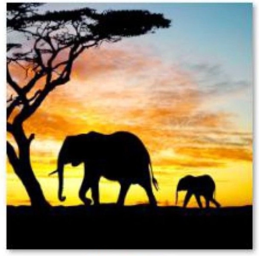 Diamond painting – elephants 30 × 40 cm - 1 piece