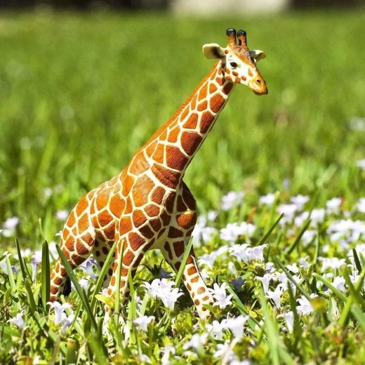 Learning through play about African animals