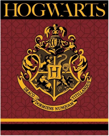 Flis deka Harry Potter XL