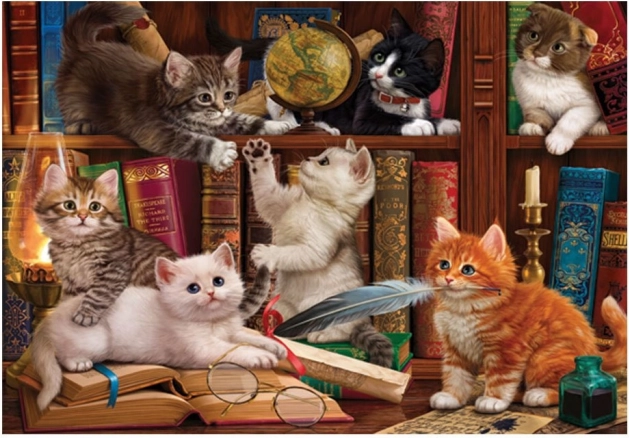Puzzle Mačkice u knjižnici 500 komada