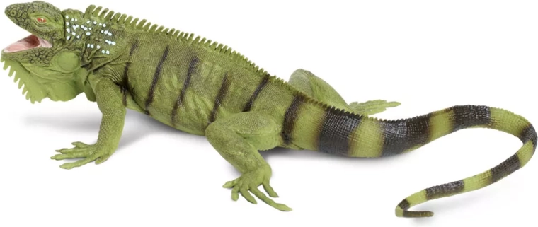 Safari Ltd. Green Iguana