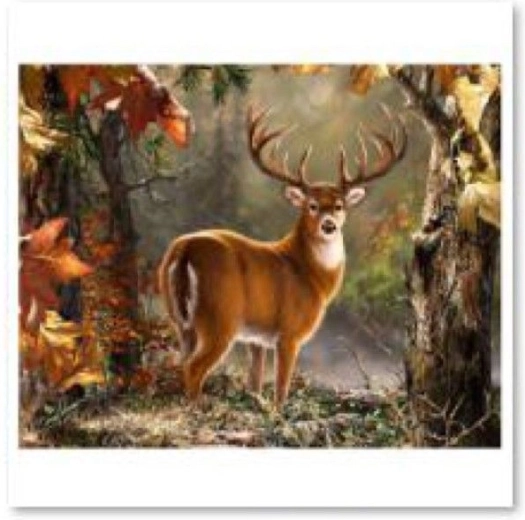 Dijamantno slikanje (diamond painting) – dostojanstveni jelen 40 × 30 cm