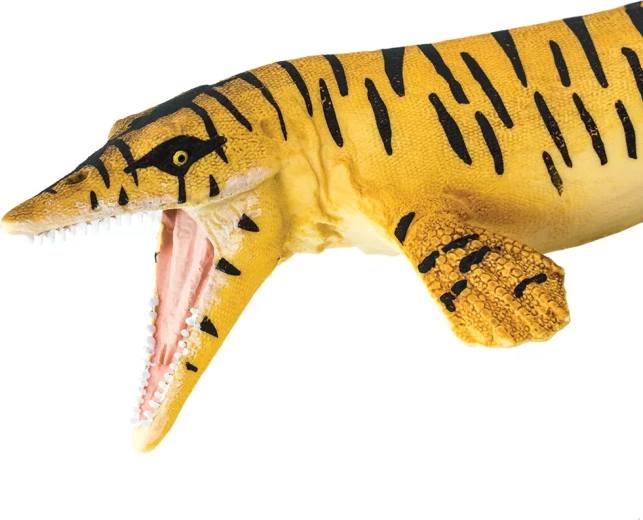 Safe and non-toxic toy