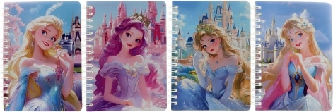 Bilježnica princeza