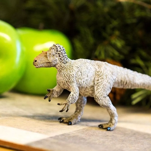 Ideal for play and display