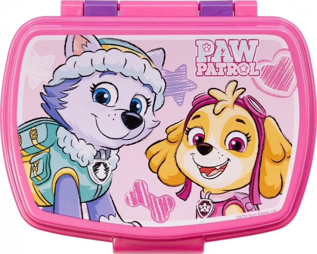Beloved PAW Patrol characters