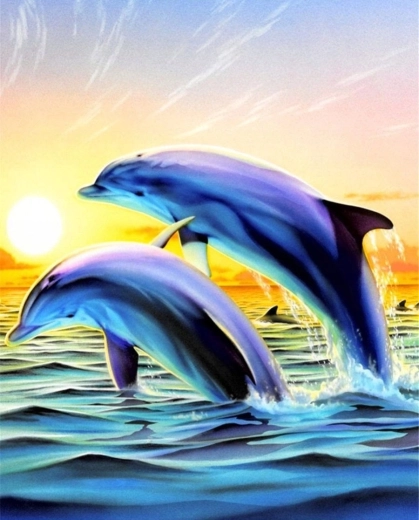 Norimpex Slikanje po brojevima Delfini koji skaču 40 × 50 cm