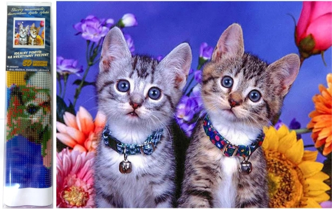 Dijamantno slikanje Dva mačića 30x40 cm