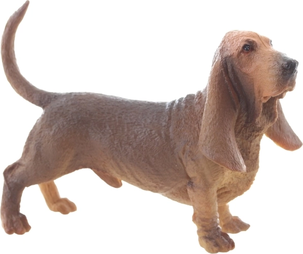 Realistic basset detailing
