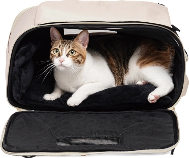 Comfort and safety for your pet while traveling