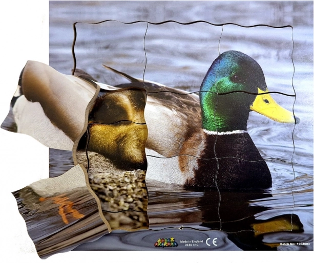 Drvene slojevite puzzle Patka i njezin životni ciklus - 19 dijelova