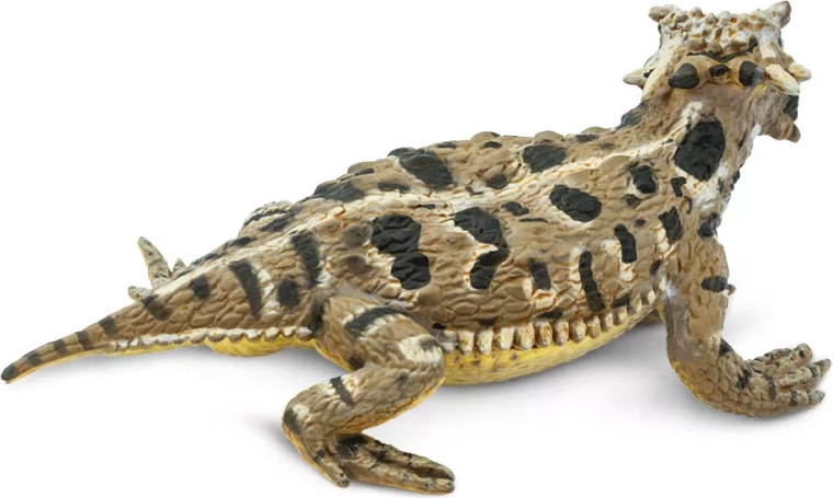 Natural coloration and pose