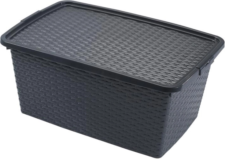 Heidrun plastična kutija za pohranu s poklopcem, ratan, 40 l