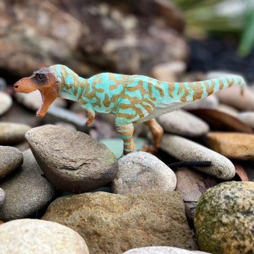 Ideal for play and learning