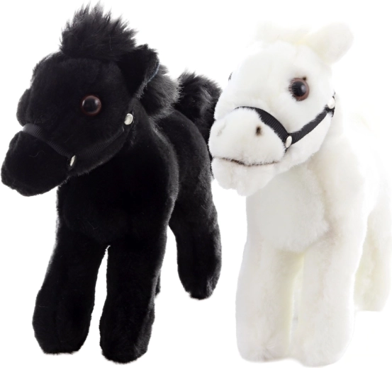 Dva elegantna kolorita