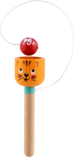 Ball attached to a string