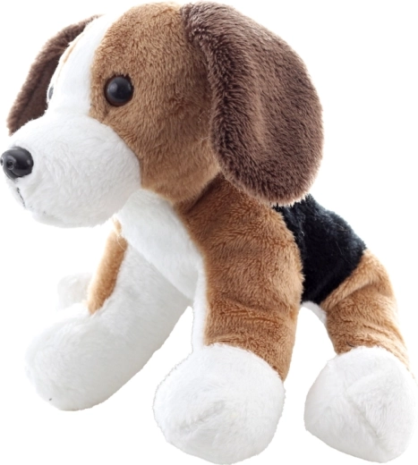 Zgodni detalji bigla