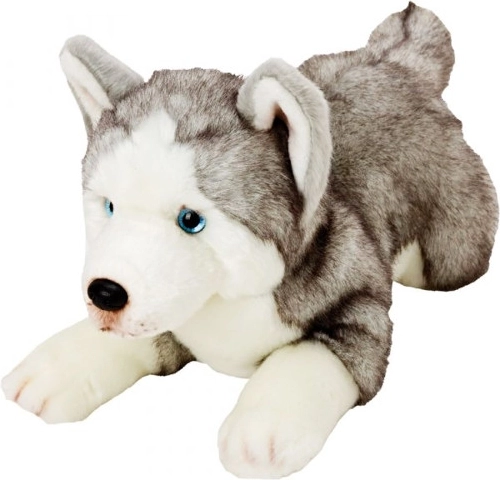 Plišani pas Husky