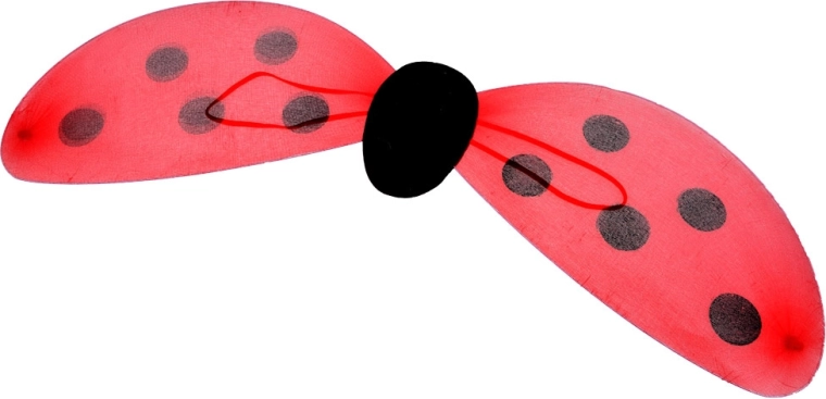 Ladybug design with polka dots