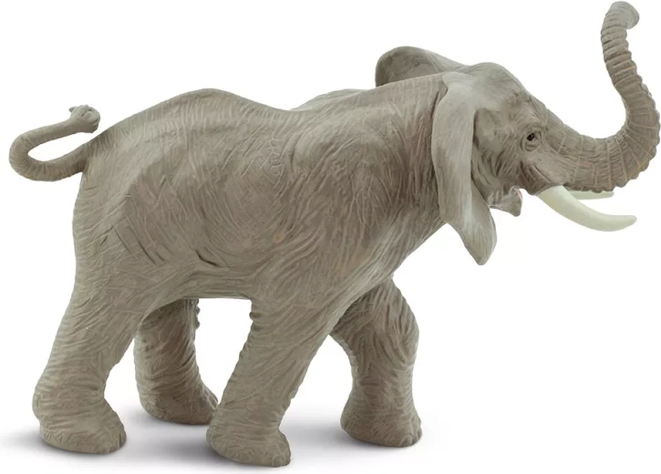 Learning through play about African nature