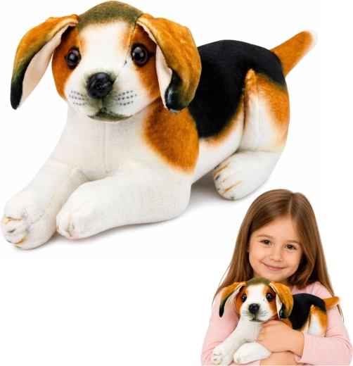 Plišani pas beagle 25 cm