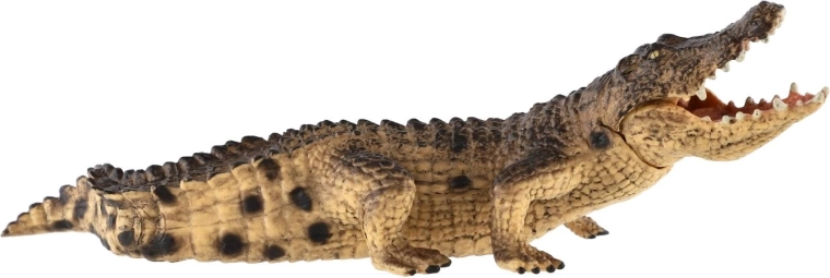 Realistic design