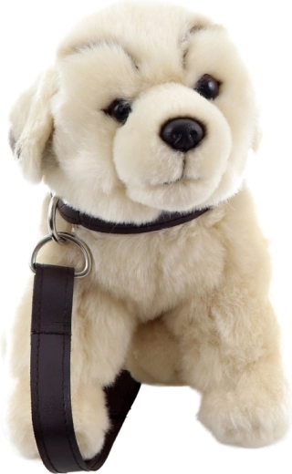 Igra šetanja zahvaljujući ogrlici i povodcu