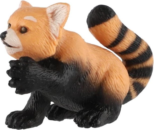 Typical red panda coloring