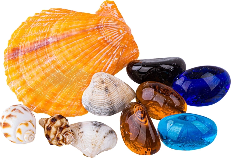 Treasures inside: stones and shells