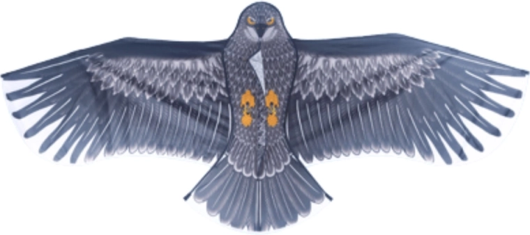 Realističan dizajn orla