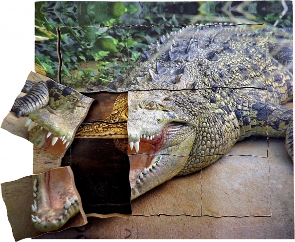 Drvene slojevite puzzle Krokodil - životni ciklus