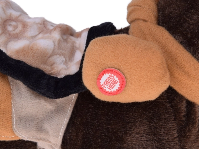 Hoda, reži i pleše na country