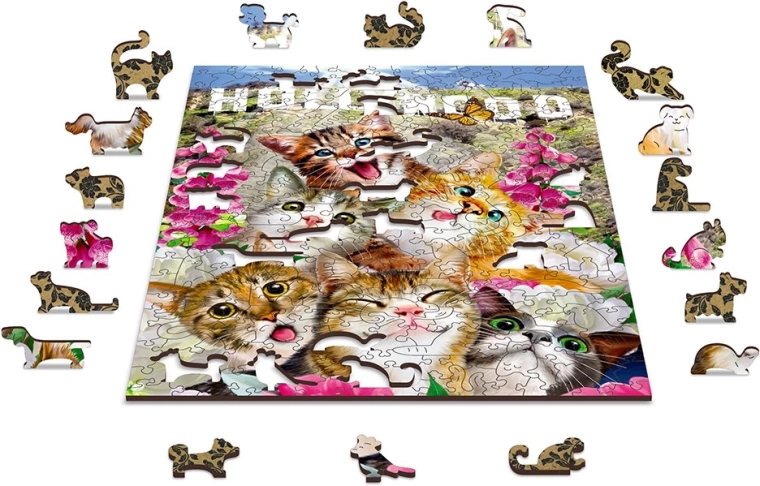 Eco-friendly wooden puzzle