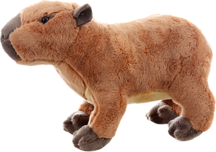 Sigurno već od rođenja