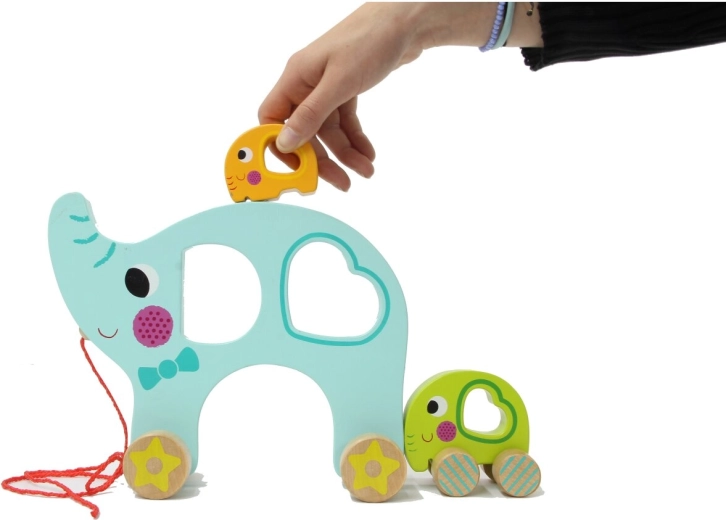 Wooden design and learning shapes