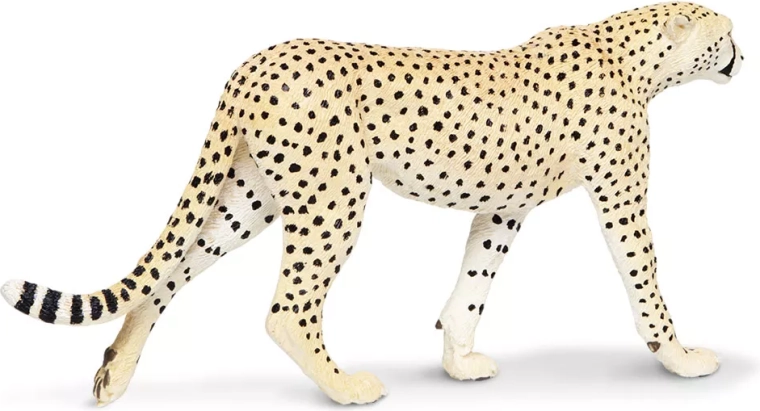 Quality by Safari Ltd.