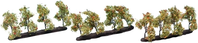 Noch stablo jabuke s plodovima 3,5 cm (12 kom)