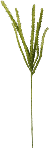 Dekorativna trava 107 cm zelena