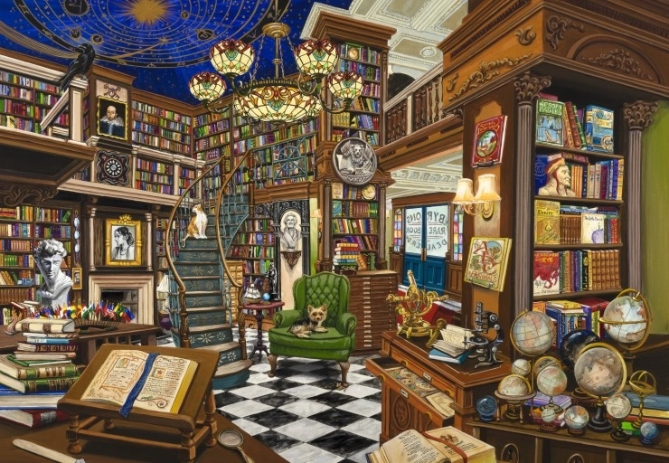 BLUEBIRD puzzle Prodavač raritetnih knjiga 1000 dijelova