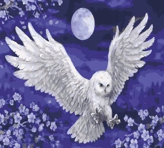 Norimpex Paint by Numbers Owl and Moon 40 × 50 cm
