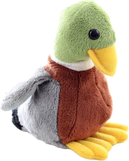 Realističan kolor dizajn