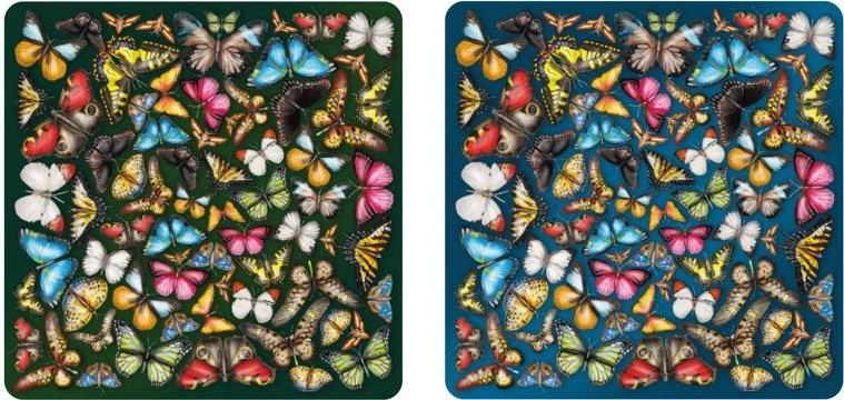 Dvostrana drvena slagalica Curiosi Double: leptiri 165 dijelova