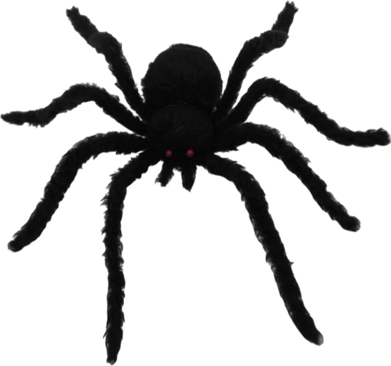Black Spider Party Decoration