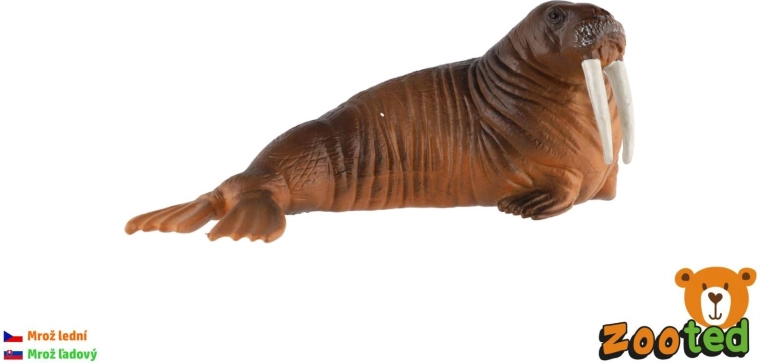 Plastic Arctic walrus figurine 11 cm