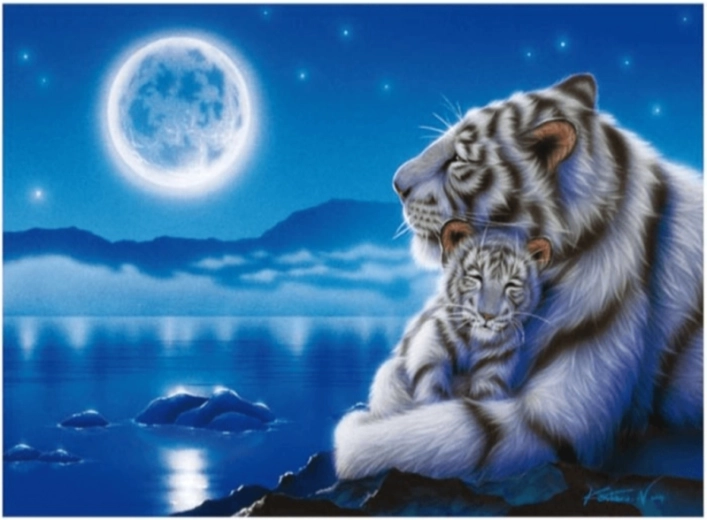 Diamond painting – white tigers in moonlight 40 × 30 cm