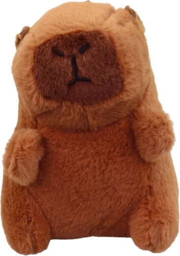 Kompaktan i sladak oblik