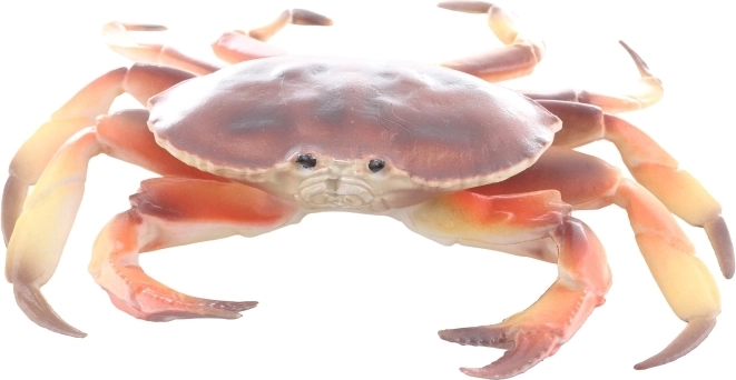 Kompaktne dimenzije i jednostavno skladištenje