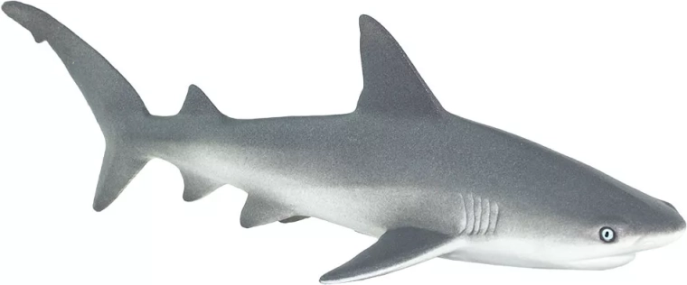 Realistična izrada morskog predatora